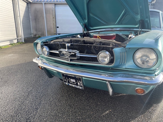 ford-mustang-fastback-essence-annee-1965-63-900