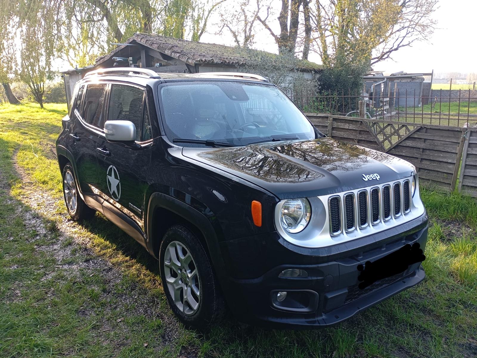 jeep-renegade-diesel-annee-2015-10-490